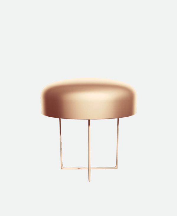 Product Name 12 – Bild 2